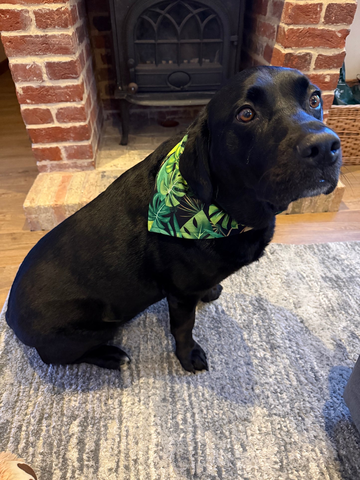 Tropical Reversible Scrunchie Dog Bandana – Green Leaf Print