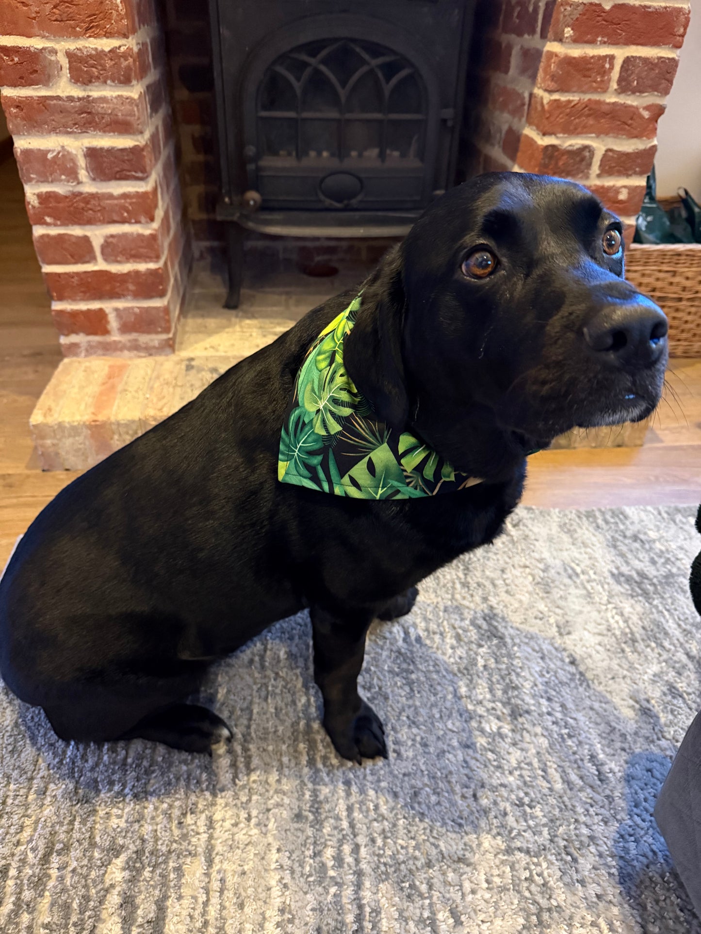 Tropical Reversible Scrunchie Dog Bandana – Green Leaf Print
