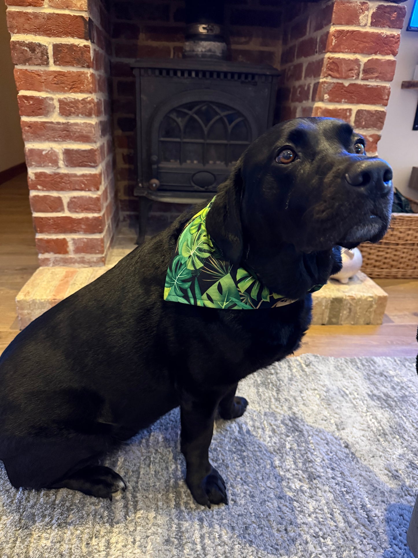 Tropical Reversible Scrunchie Dog Bandana – Green Leaf Print