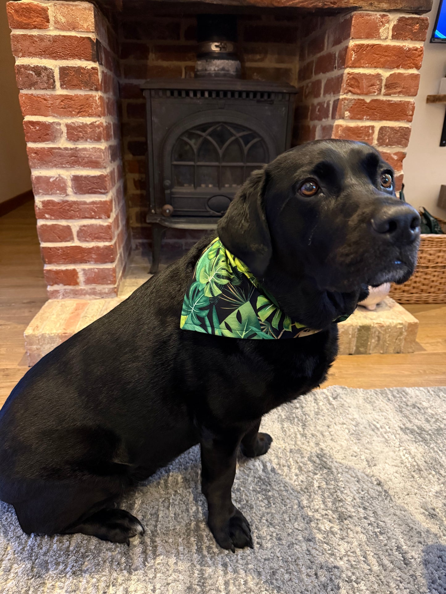 Tropical Reversible Scrunchie Dog Bandana – Green Leaf Print