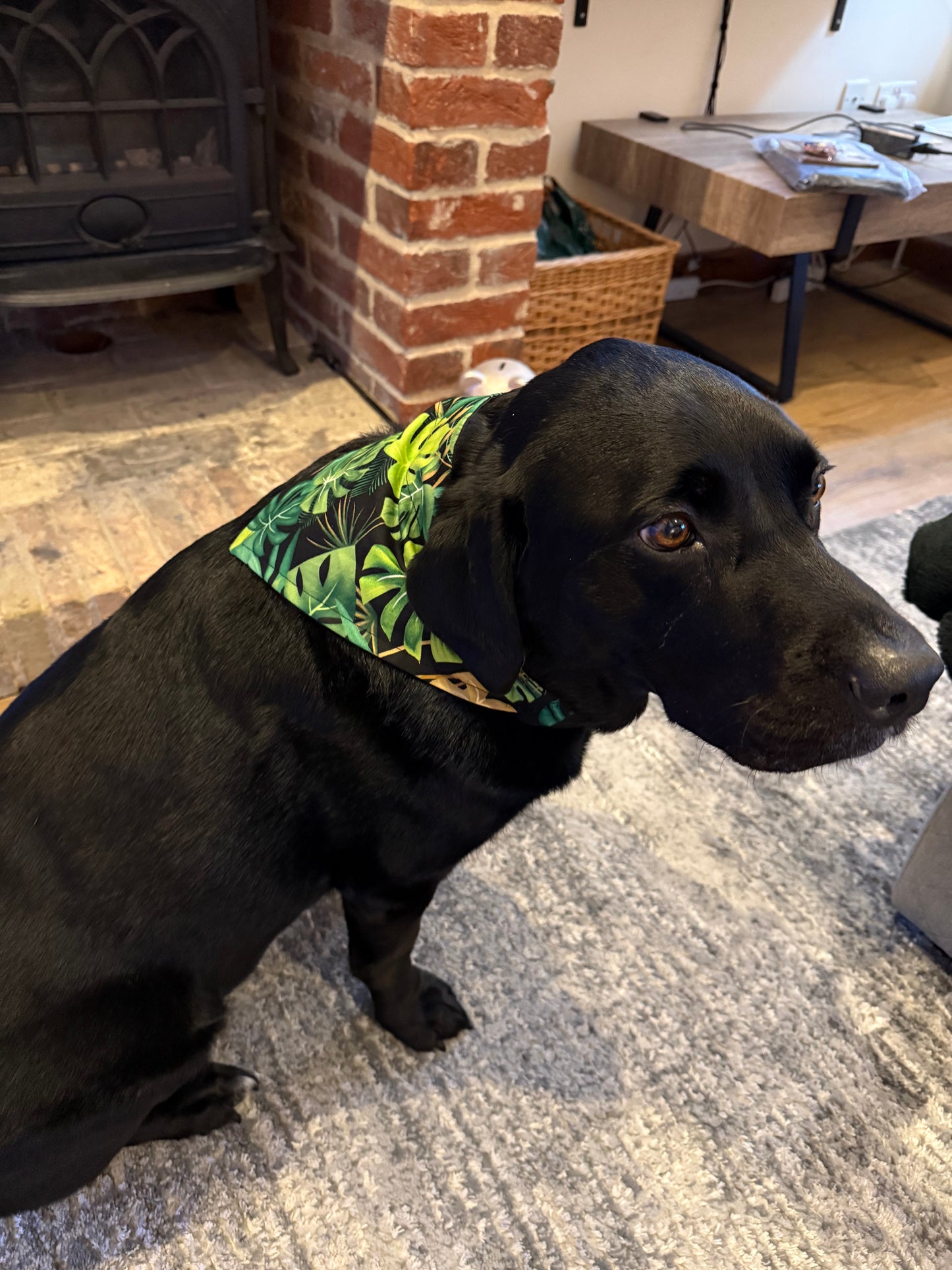 Tropical Reversible Scrunchie Dog Bandana – Green Leaf Print