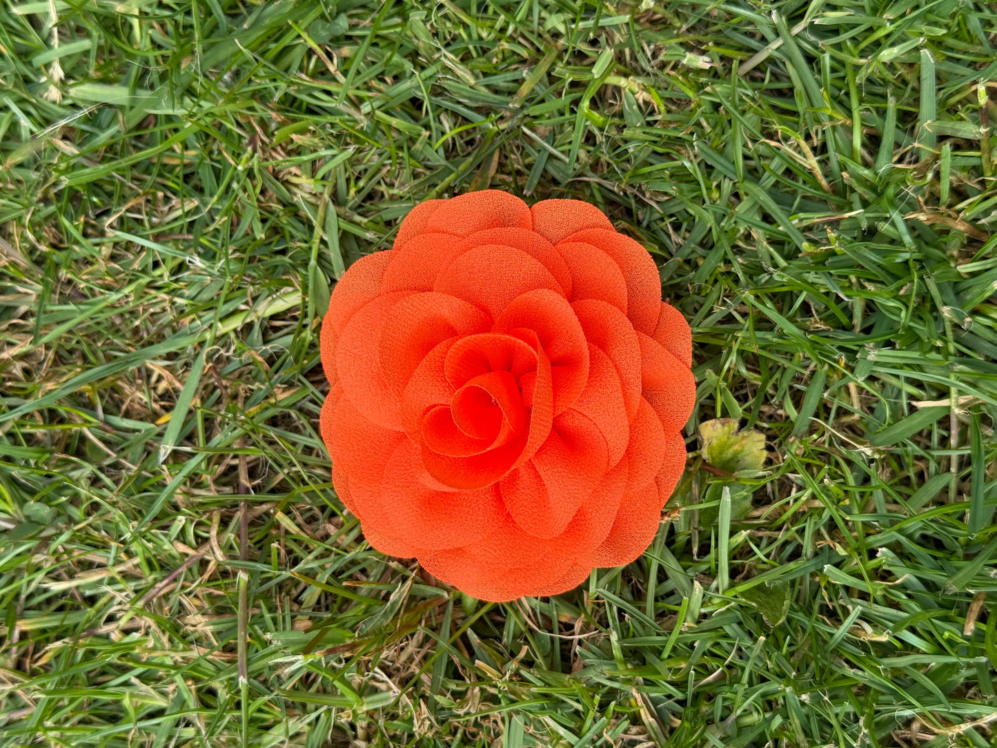 Medium/Large Chiffon Dog Collar Flower – Elegant Removable Floral Accessory