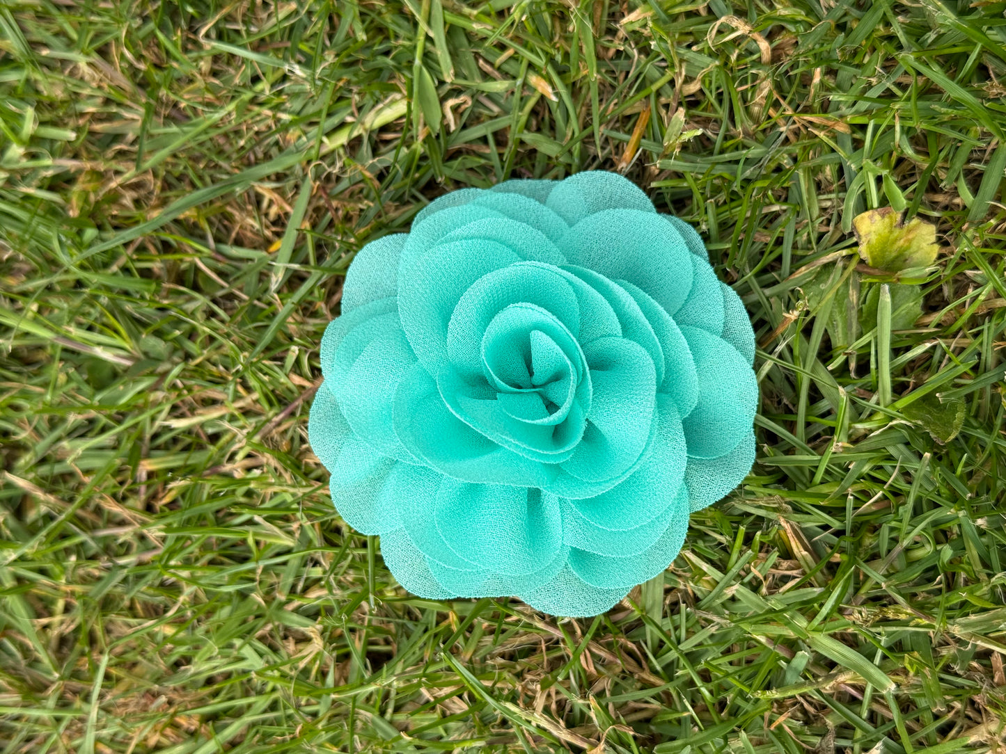 Medium/Large Chiffon Dog Collar Flower – Elegant Removable Floral Accessory