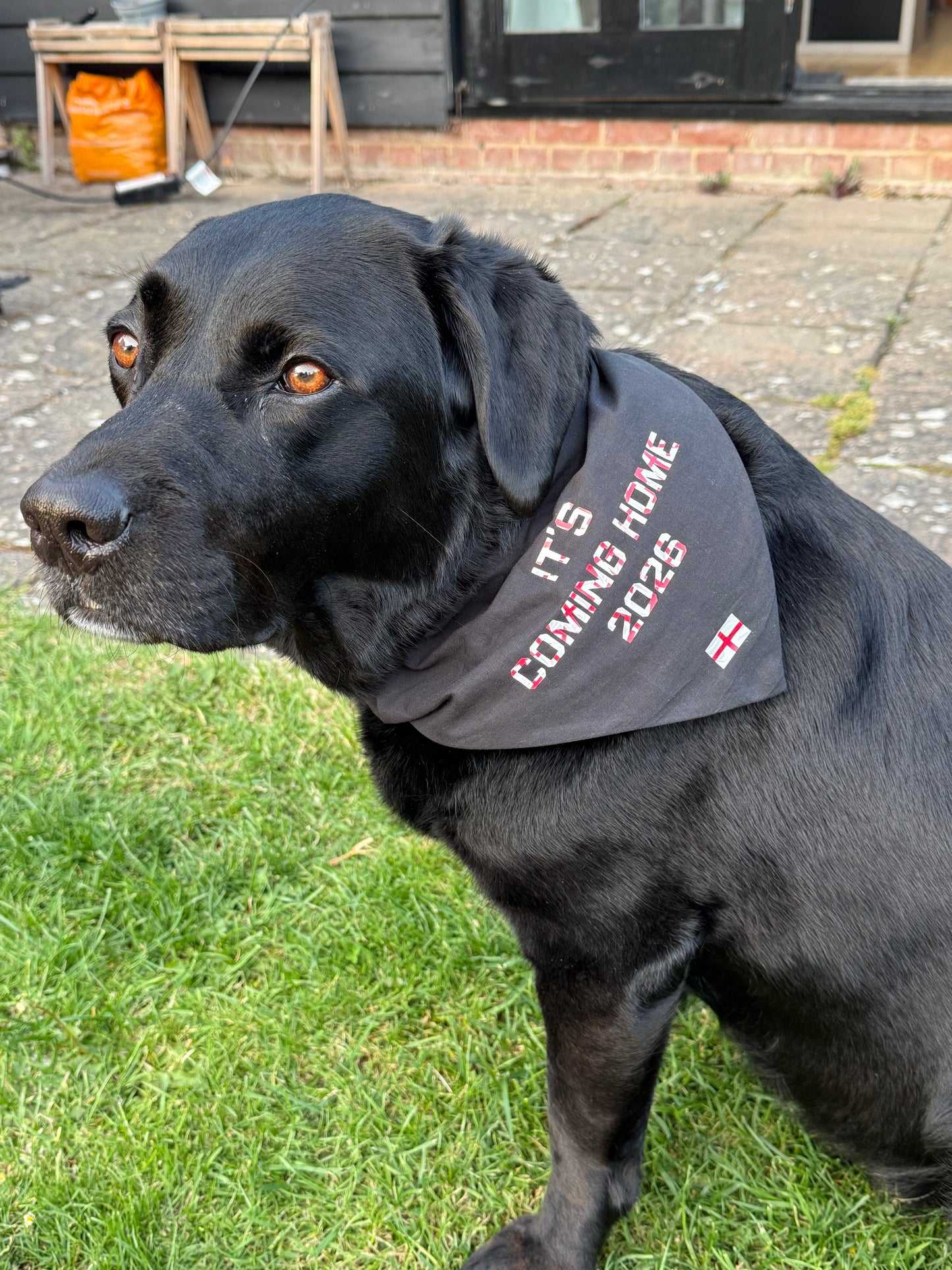 England Dog Bandana | It’s Coming Home 2026 Dog Bandana | Football Dog Accessory | England World Cup Dog Scarf | Euro Football Dog Bandana UK