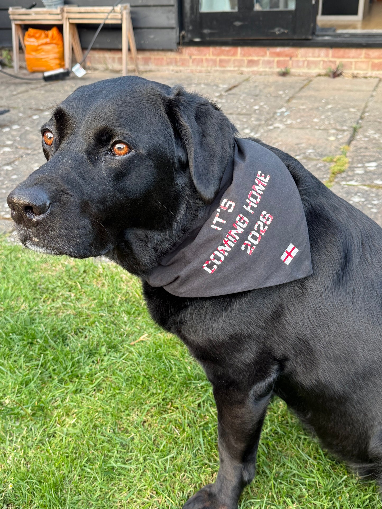 England Dog Bandana | It’s Coming Home 2026 Dog Bandana | Football Dog Accessory | England World Cup Dog Scarf | Euro Football Dog Bandana UK