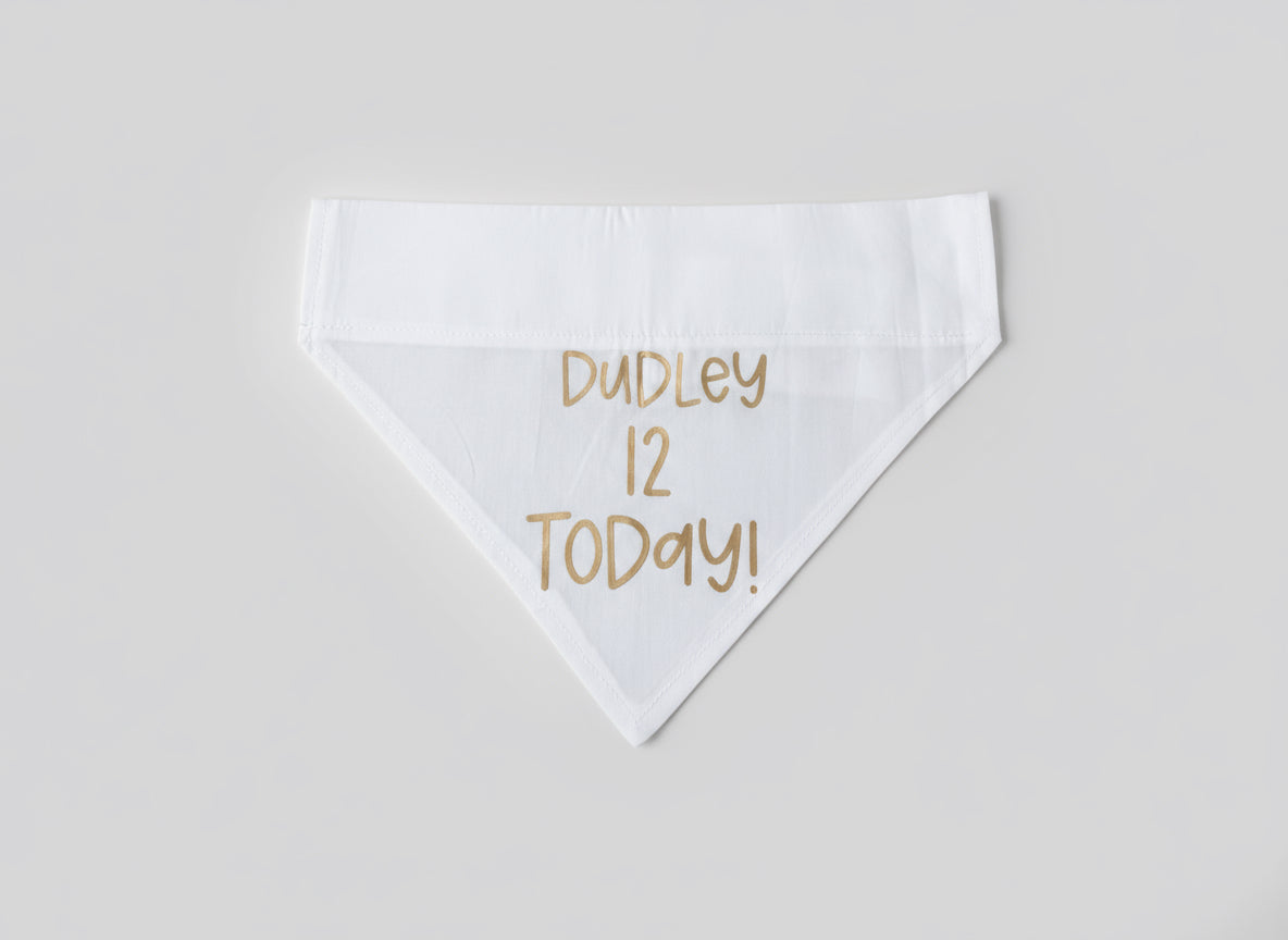 Personalized Pet Birthday Bandana: Custom Dog or Cat Party Accessory