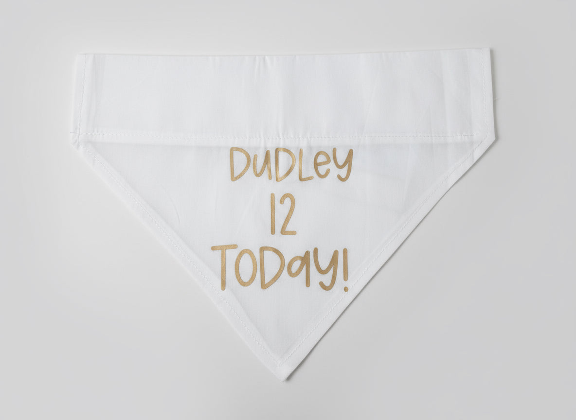 Personalized Pet Birthday Bandana: Custom Dog or Cat Party Accessory