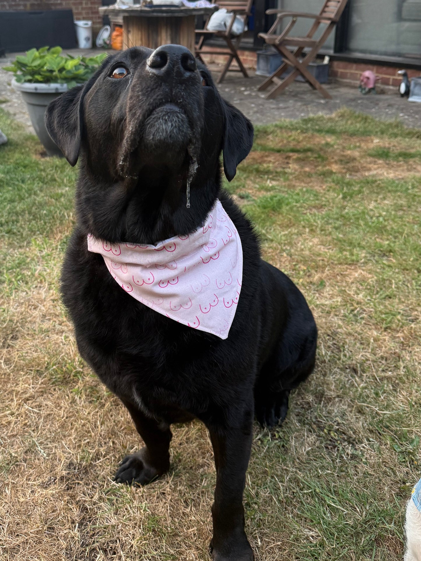 Pink Dog Bandana, Boob Print Dog Bandana, Funny Dog Scarf, Novelty Puppy Bandana, Cute Pet Accessory, Dog Gift, Funny Pet Gift