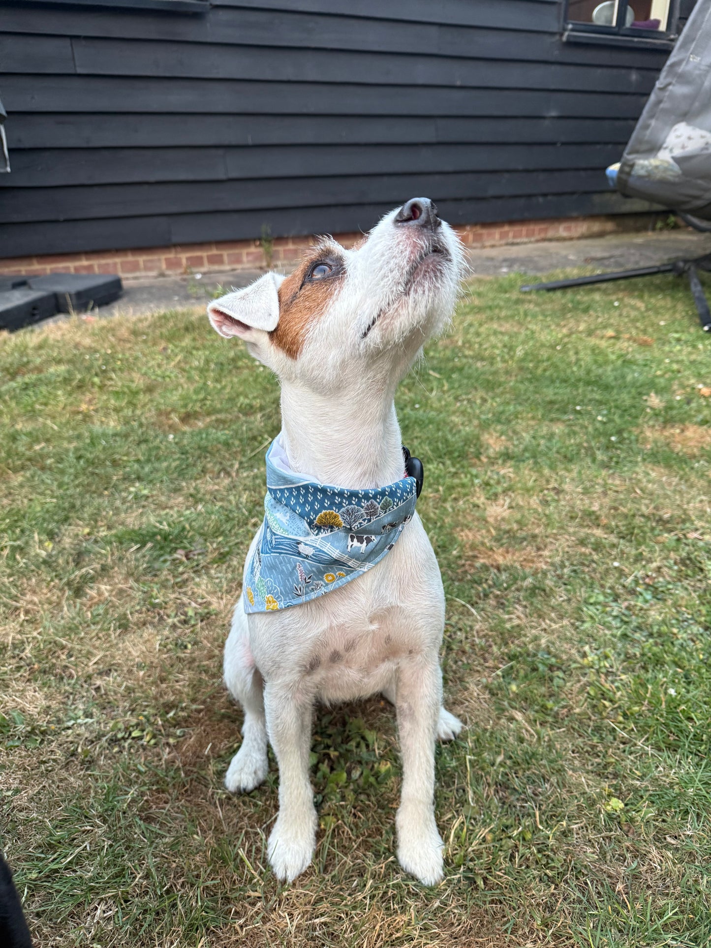 Farm Dog Bandana, 100% Cotton Dog Bandana, Farmhouse Pet Scarf, Country Dog Bandana, Rural Puppy Accessory, Cute Dog Gift, Farm Dog Gift