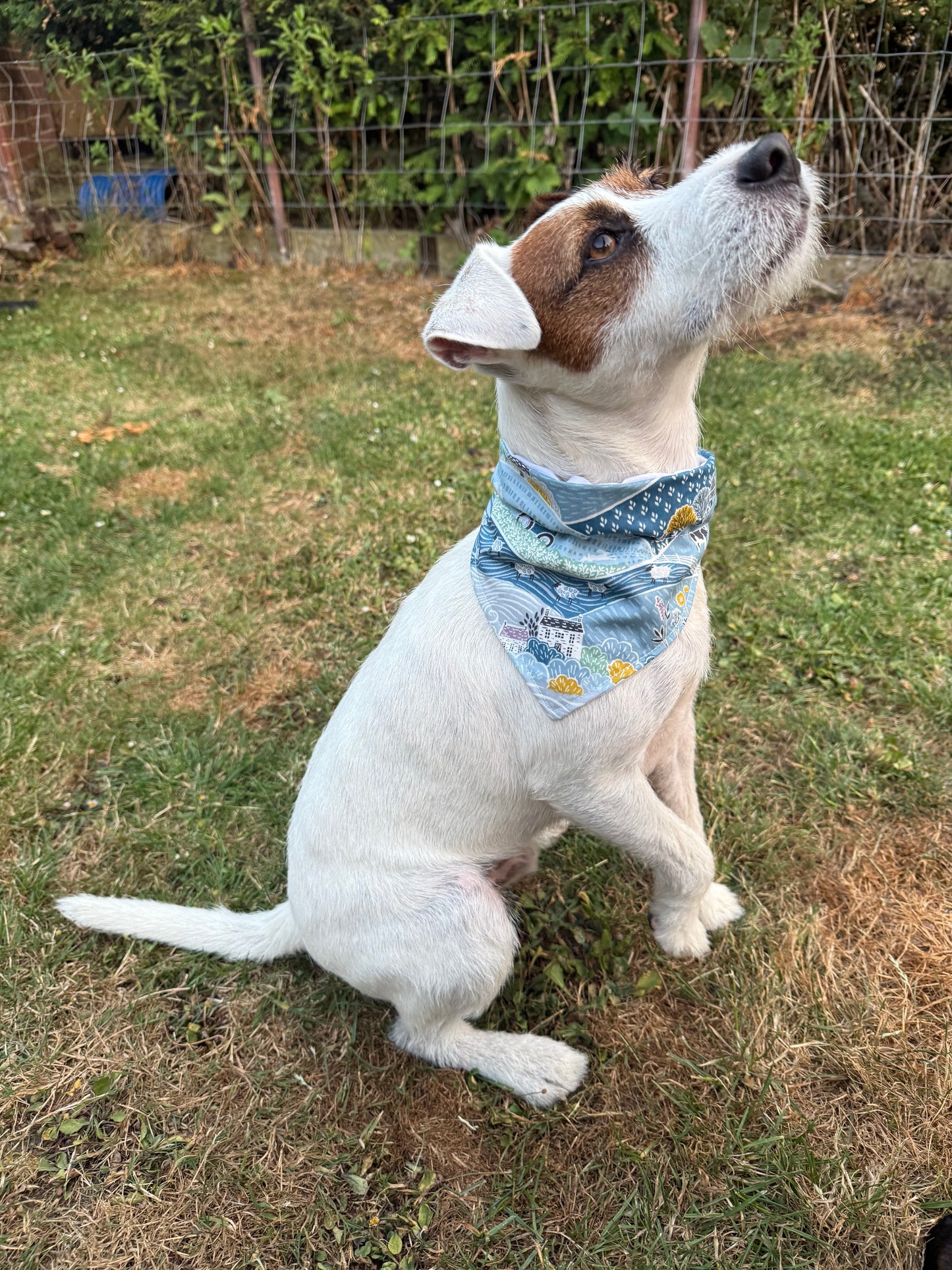 Farm Dog Bandana, 100% Cotton Dog Bandana, Farmhouse Pet Scarf, Country Dog Bandana, Rural Puppy Accessory, Cute Dog Gift, Farm Dog Gift
