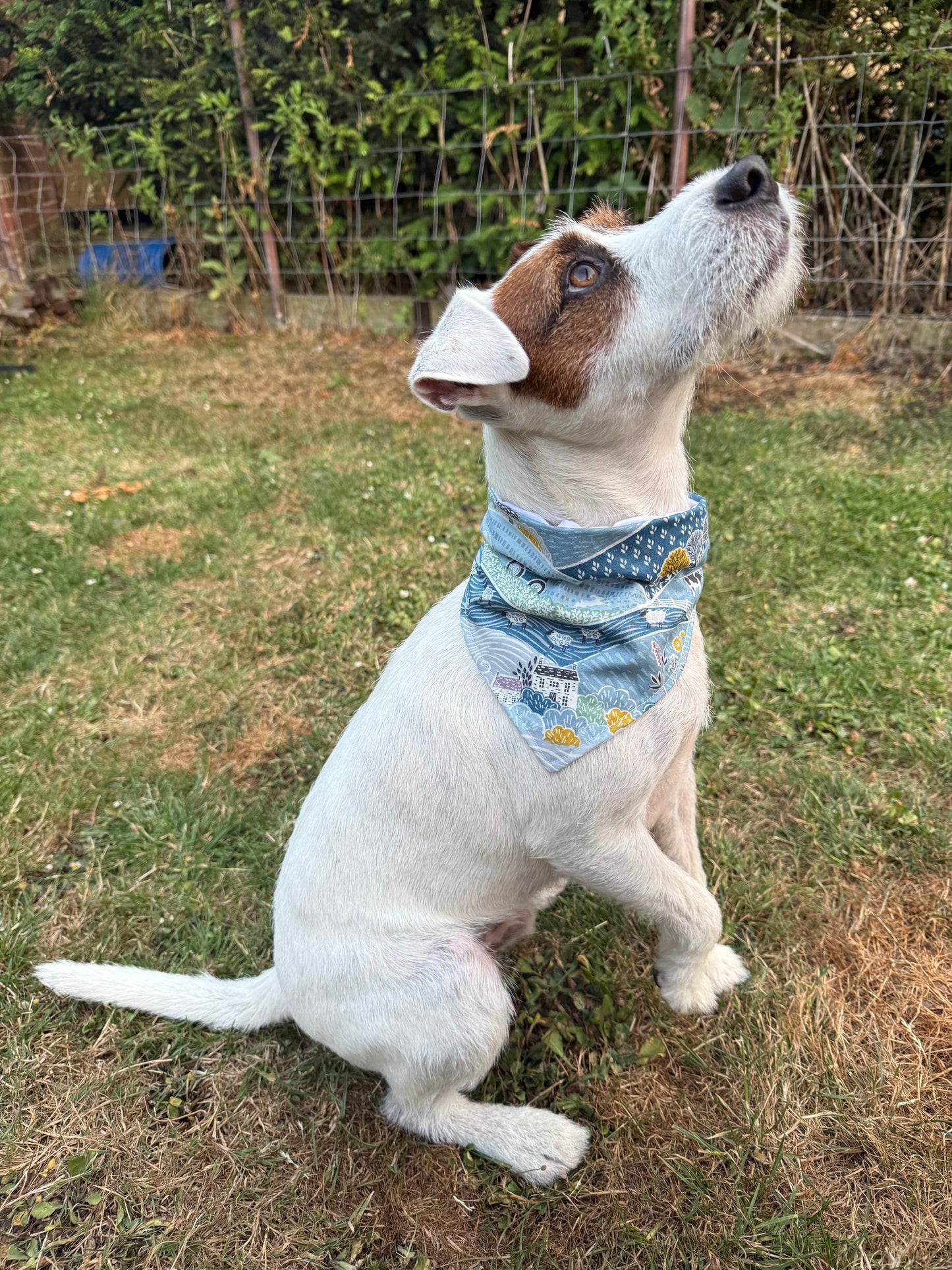 Farm Dog Bandana, 100% Cotton Dog Bandana, Farmhouse Pet Scarf, Country Dog Bandana, Rural Puppy Accessory, Cute Dog Gift, Farm Dog Gift