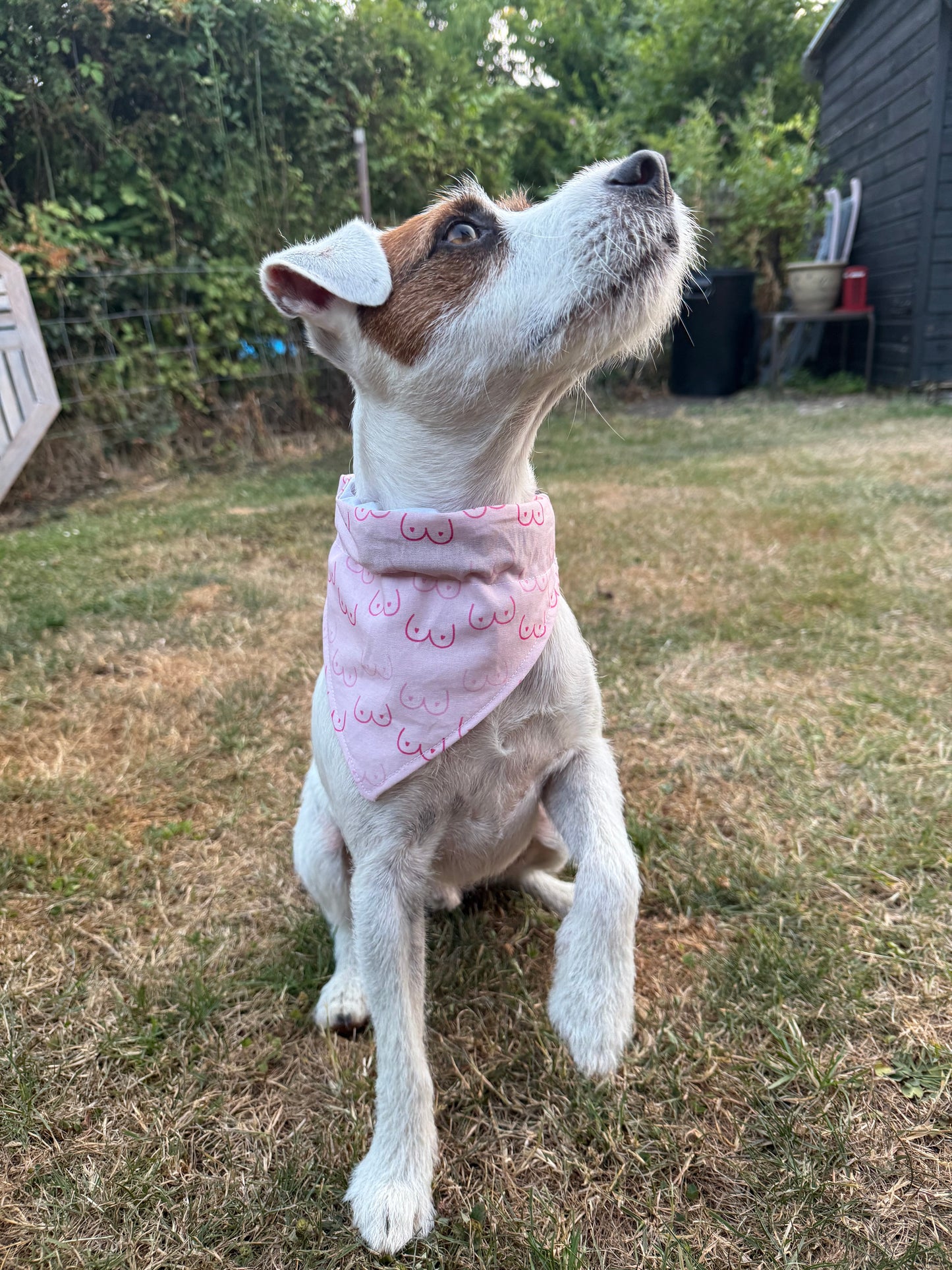 Pink Dog Bandana, Boob Print Dog Bandana, Funny Dog Scarf, Novelty Puppy Bandana, Cute Pet Accessory, Dog Gift, Funny Pet Gift