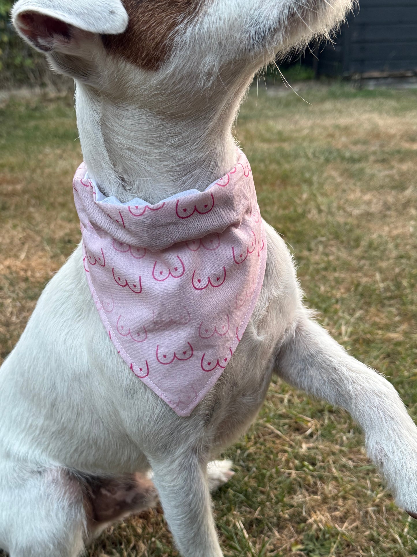 Pink Dog Bandana, Boob Print Dog Bandana, Funny Dog Scarf, Novelty Puppy Bandana, Cute Pet Accessory, Dog Gift, Funny Pet Gift