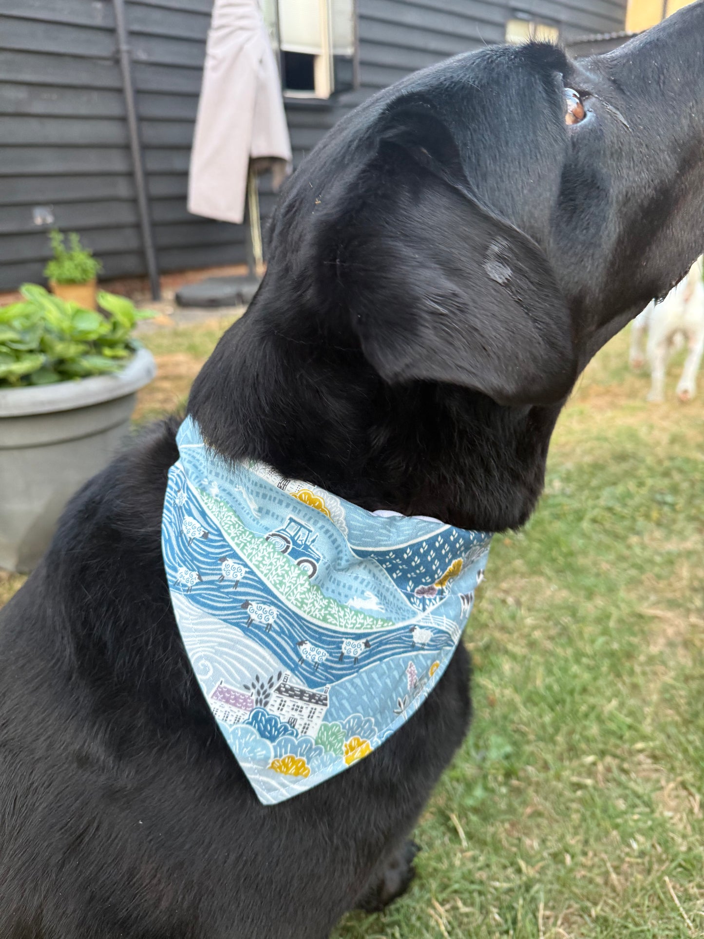 Farm Dog Bandana, 100% Cotton Dog Bandana, Farmhouse Pet Scarf, Country Dog Bandana, Rural Puppy Accessory, Cute Dog Gift, Farm Dog Gift