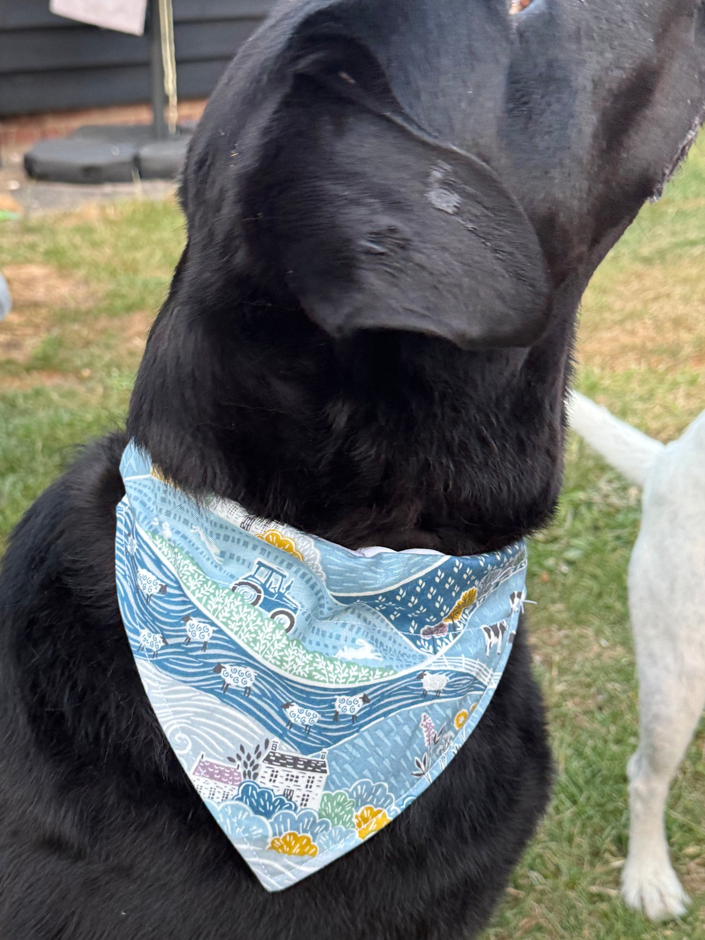 Farm Dog Bandana, 100% Cotton Dog Bandana, Farmhouse Pet Scarf, Country Dog Bandana, Rural Puppy Accessory, Cute Dog Gift, Farm Dog Gift