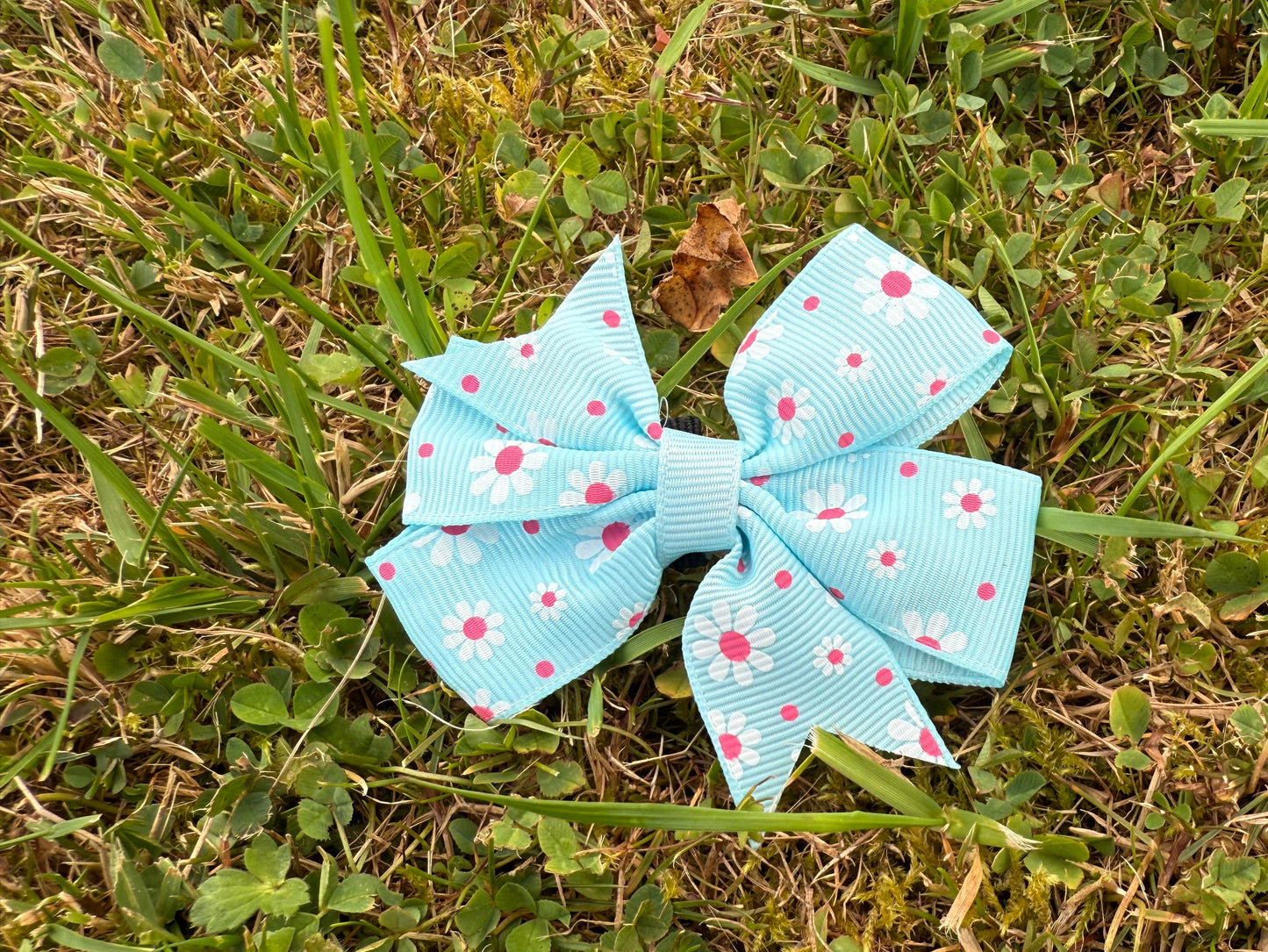 Light blue bow with daisies on grass