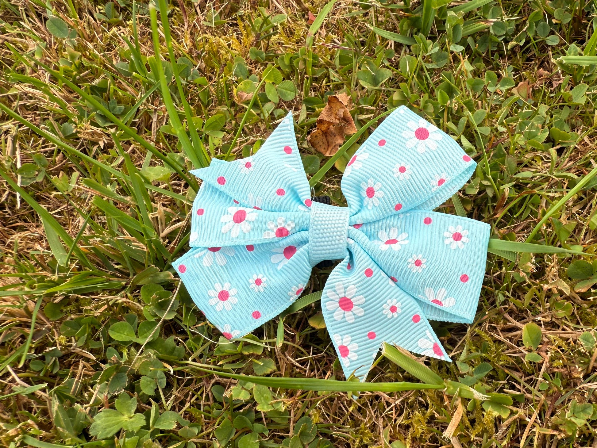 Light blue bow with daisies on grass