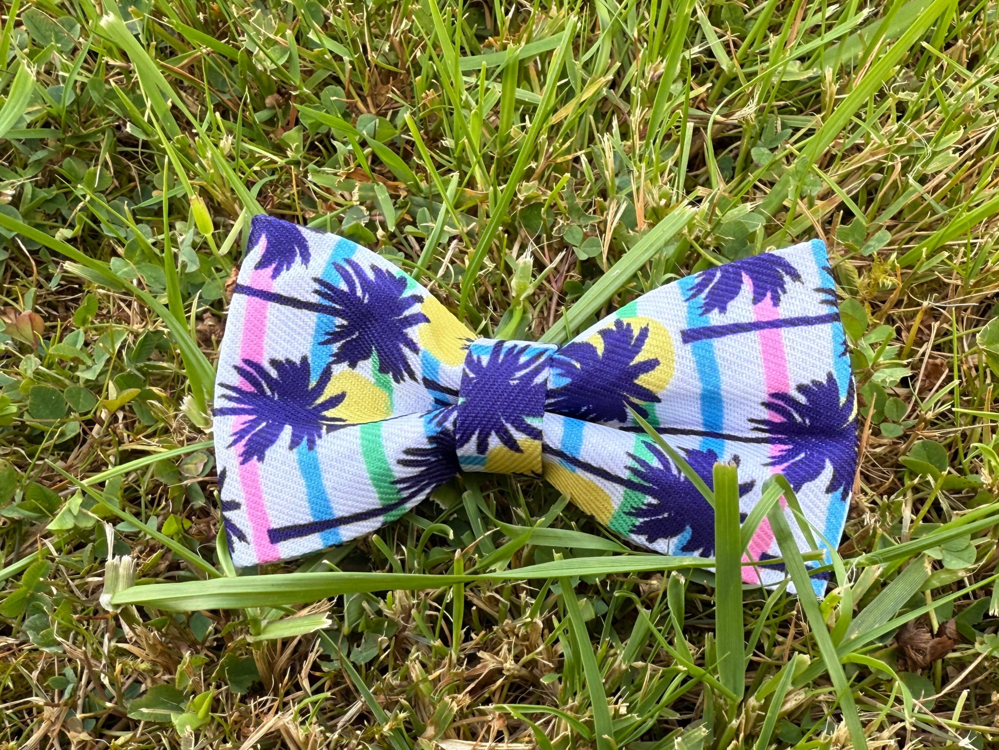 Colorful bow tie on grass