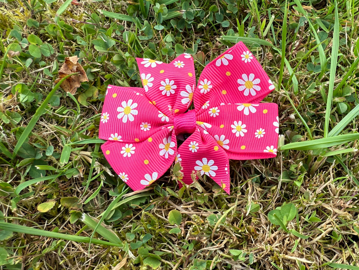 Pink Dog bow with floral pattern on grass