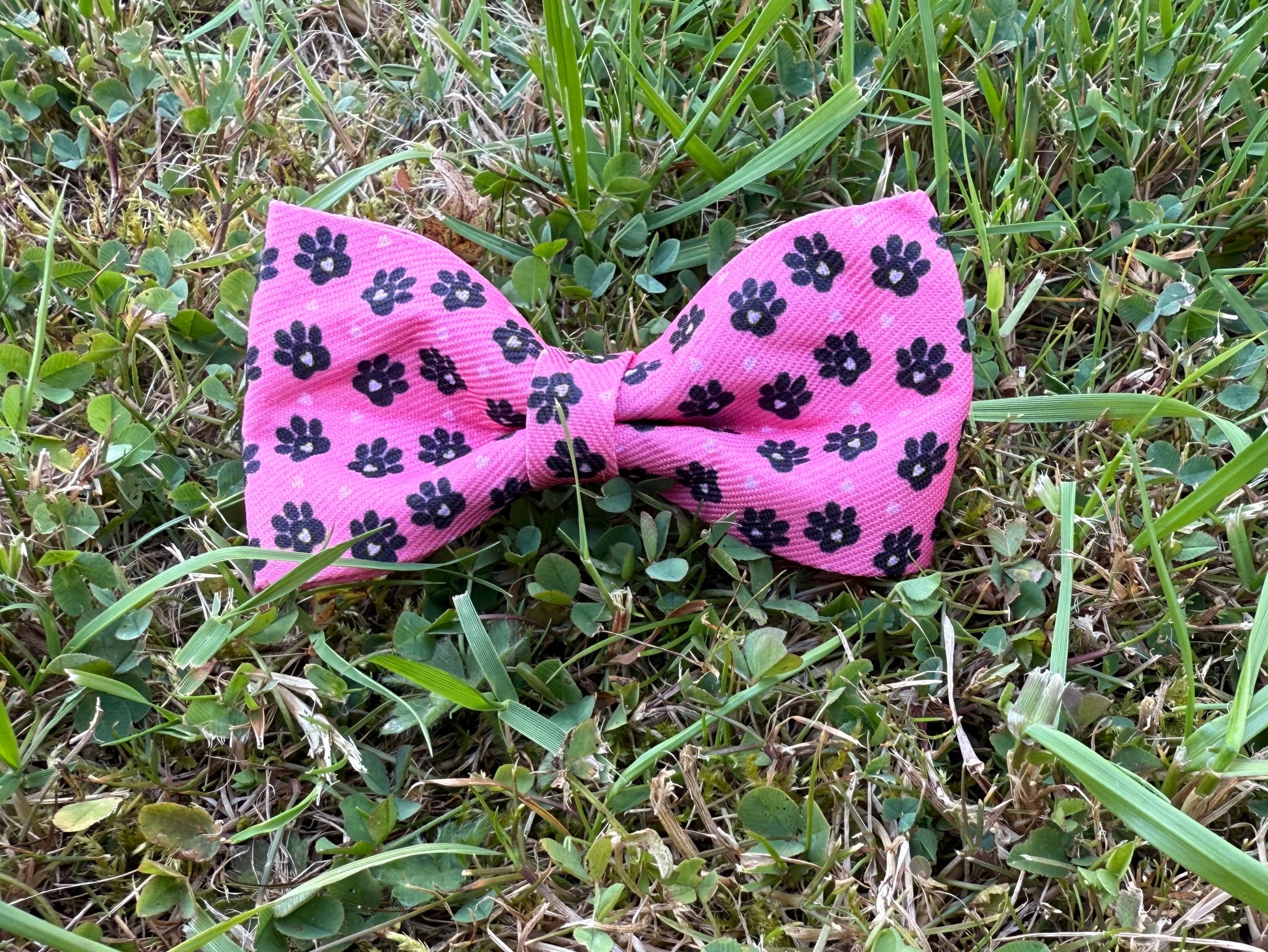 Pink bow with black paw prints on grass