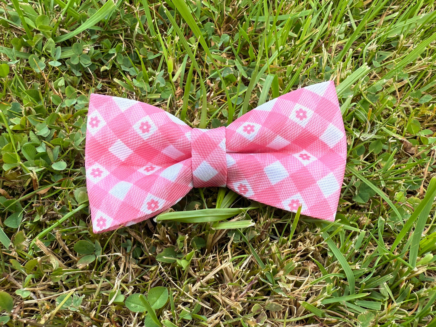 Pink checkered bow tie on grass