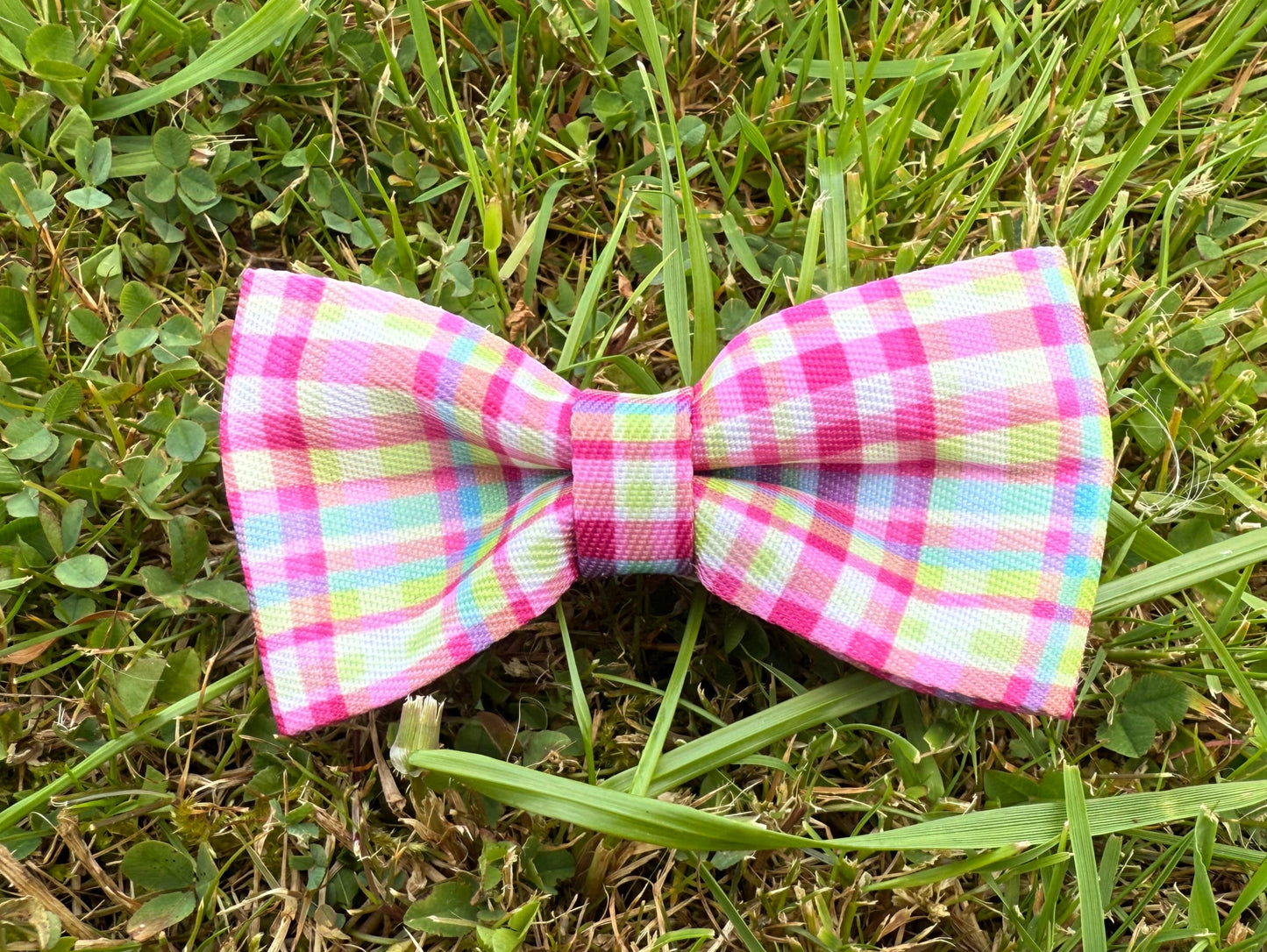 Plaid bow tie on grass