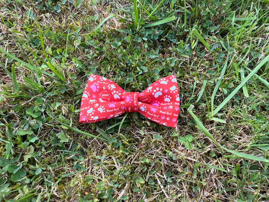 Red bow tie with white paw prints on grass