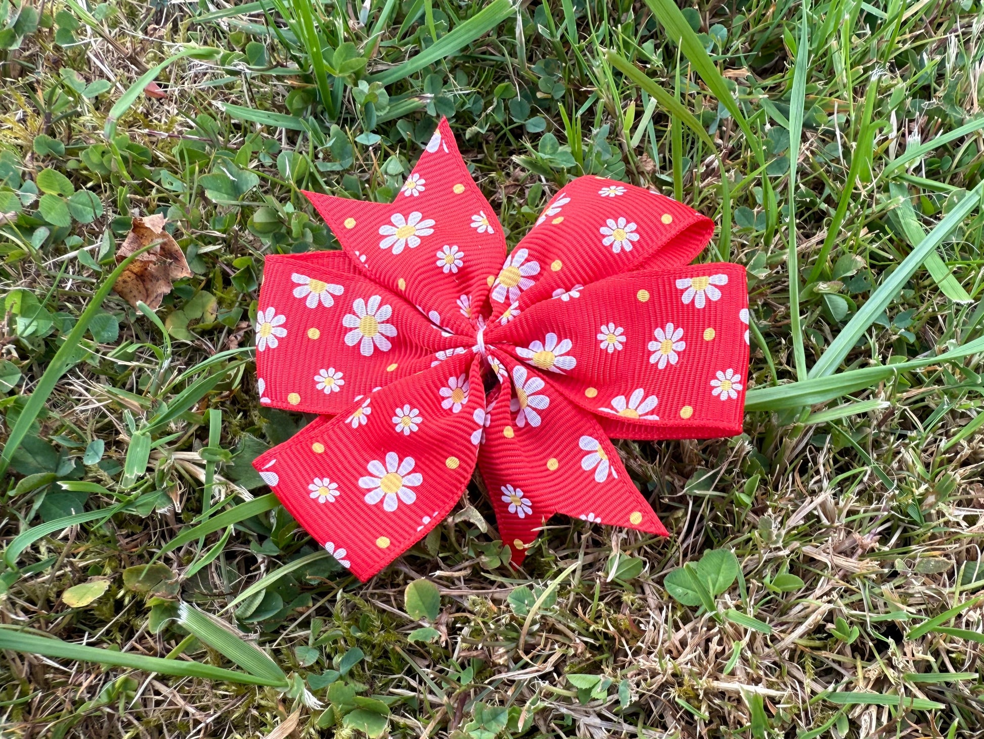 Red Dog bow with white floral pattern on grass