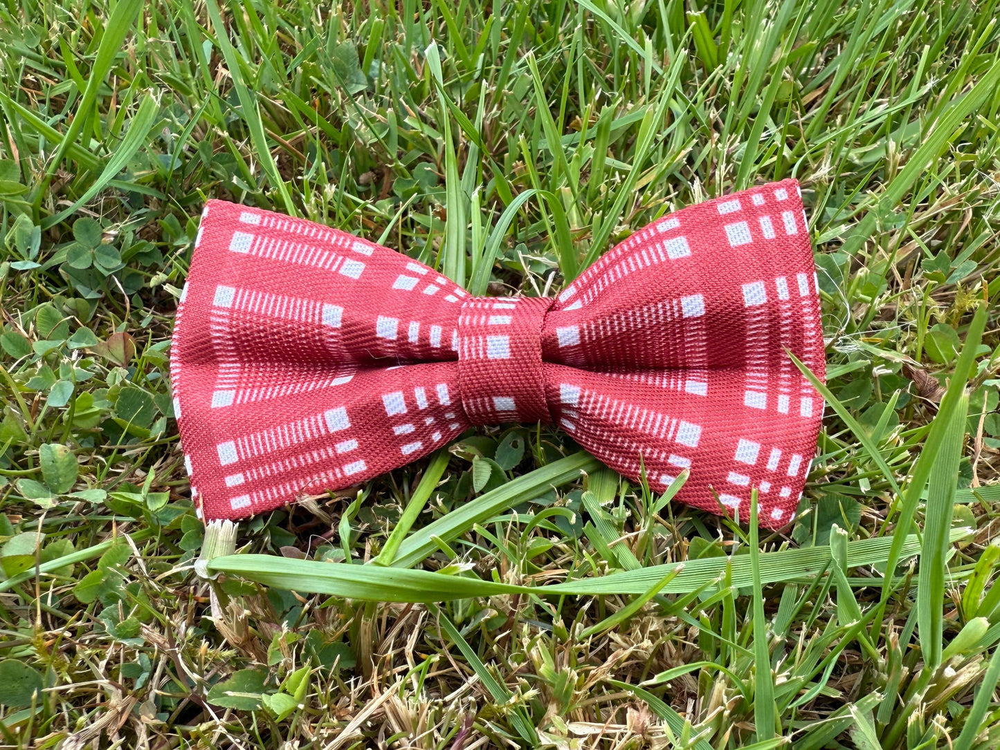 Red checkered bow on grass
