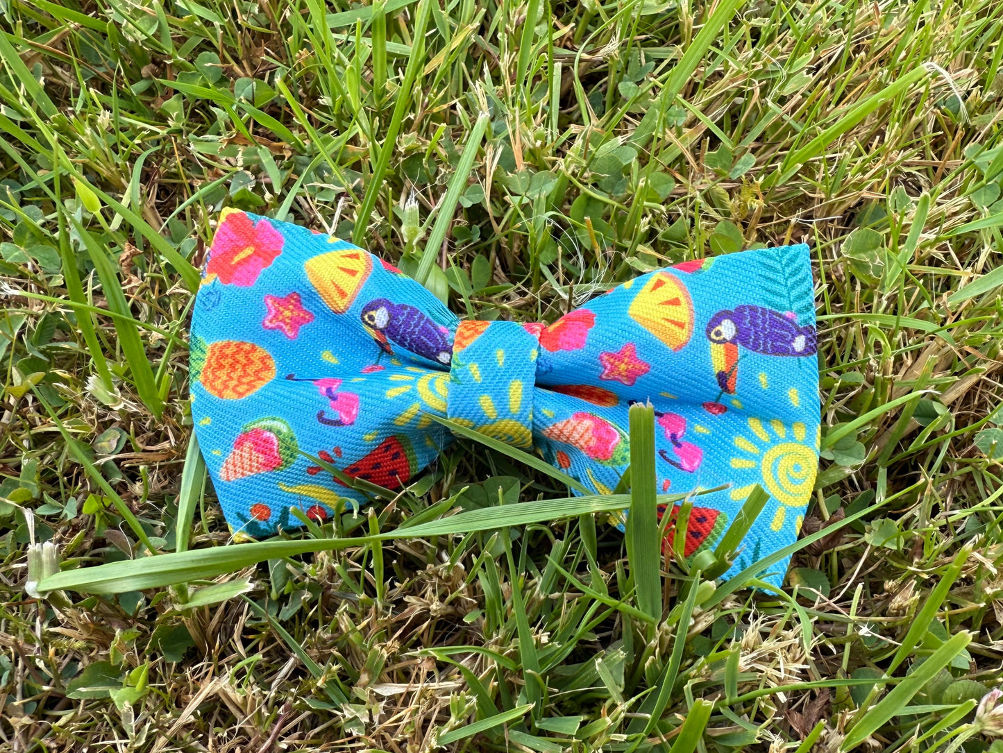 Summer bow tie with fruit