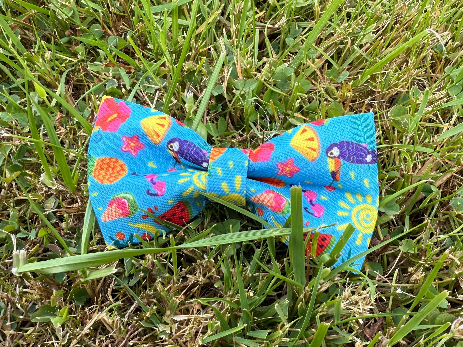 Summer bow tie with fruit