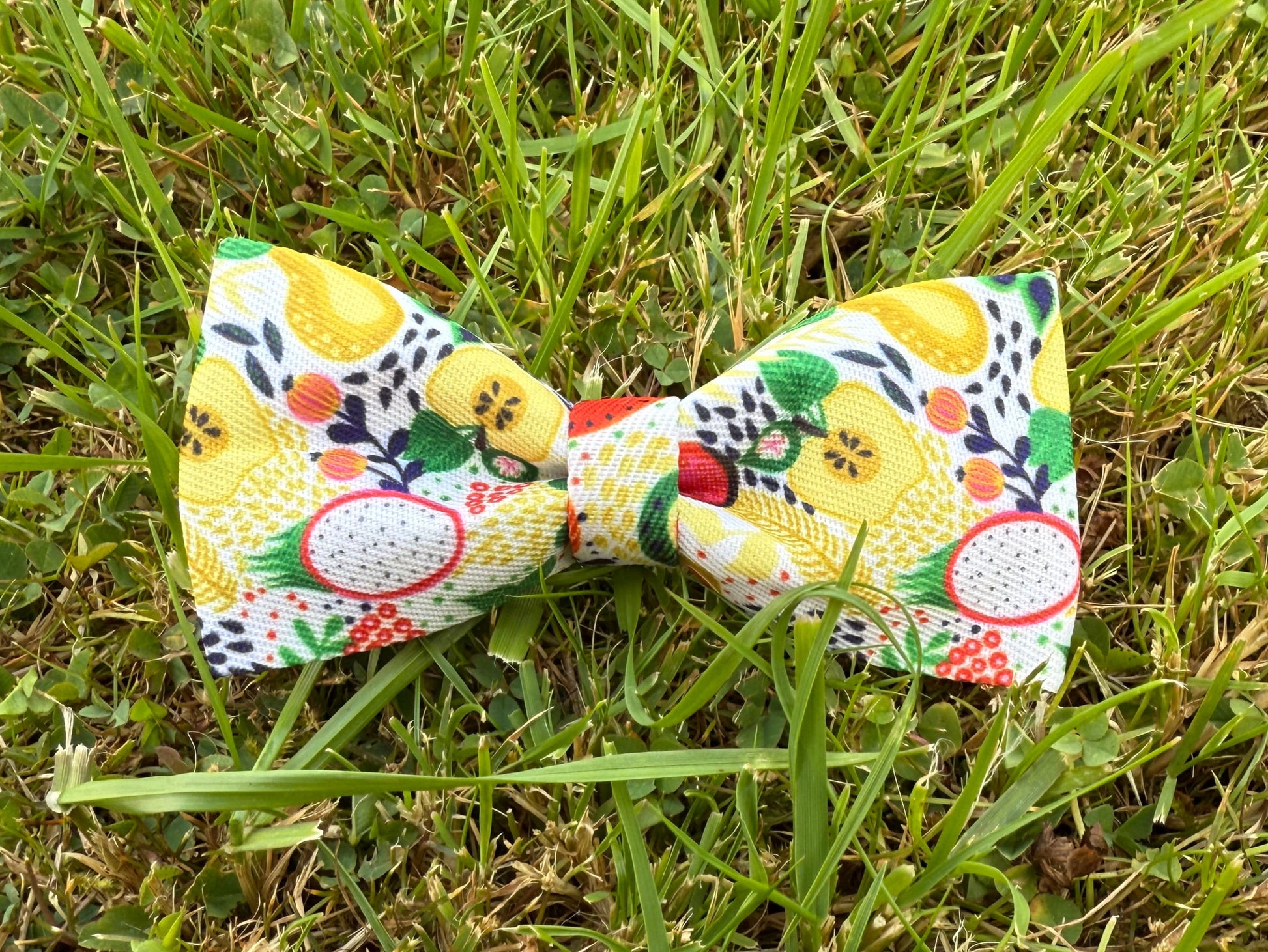 Colorful bow tie on grass