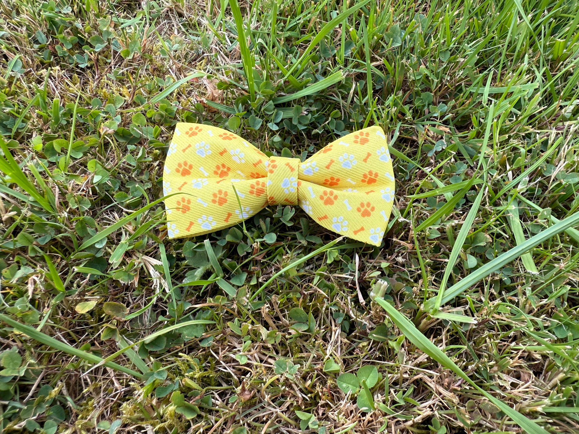 Yellow bow tie with floral pattern on grass