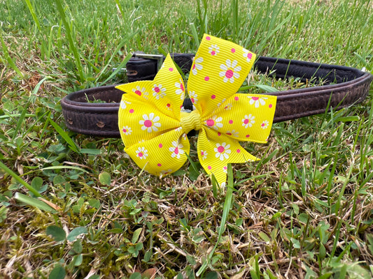 Yellow dog bow with floral pattern on a collar lying on grass