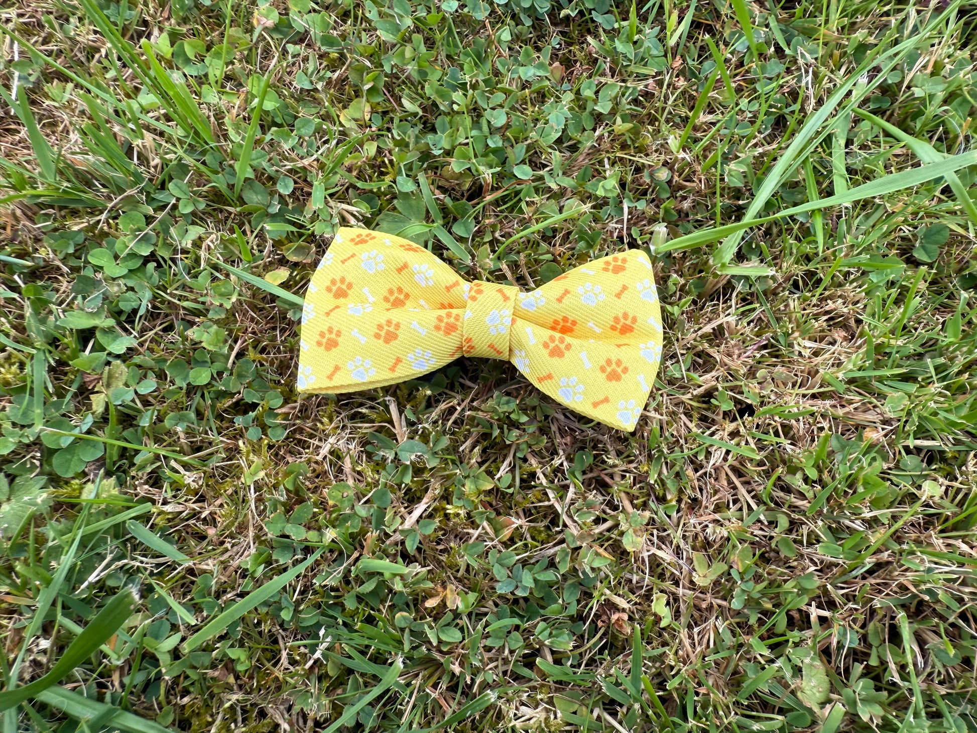Yellow bow tie with floral pattern on grass