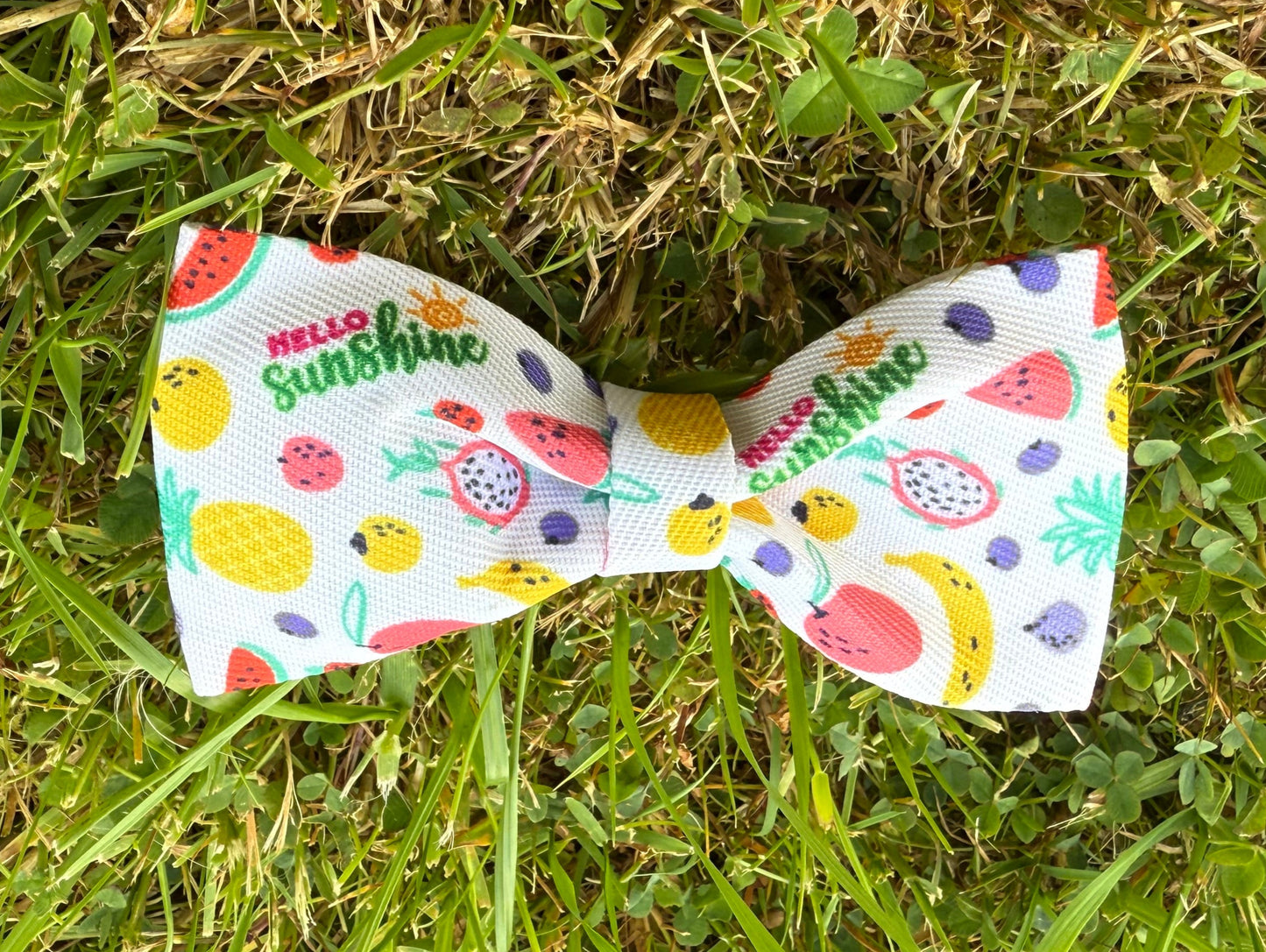 Colorful bow tie with fruit pattern on grass