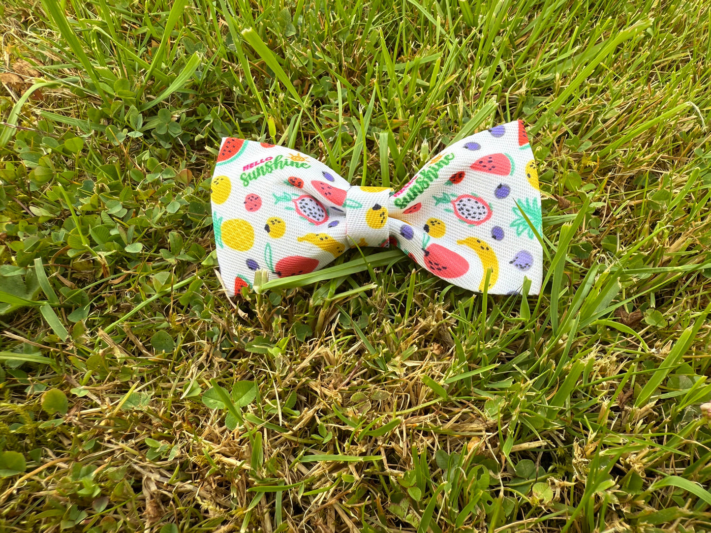 Colorful bow tie with fruit pattern on grass